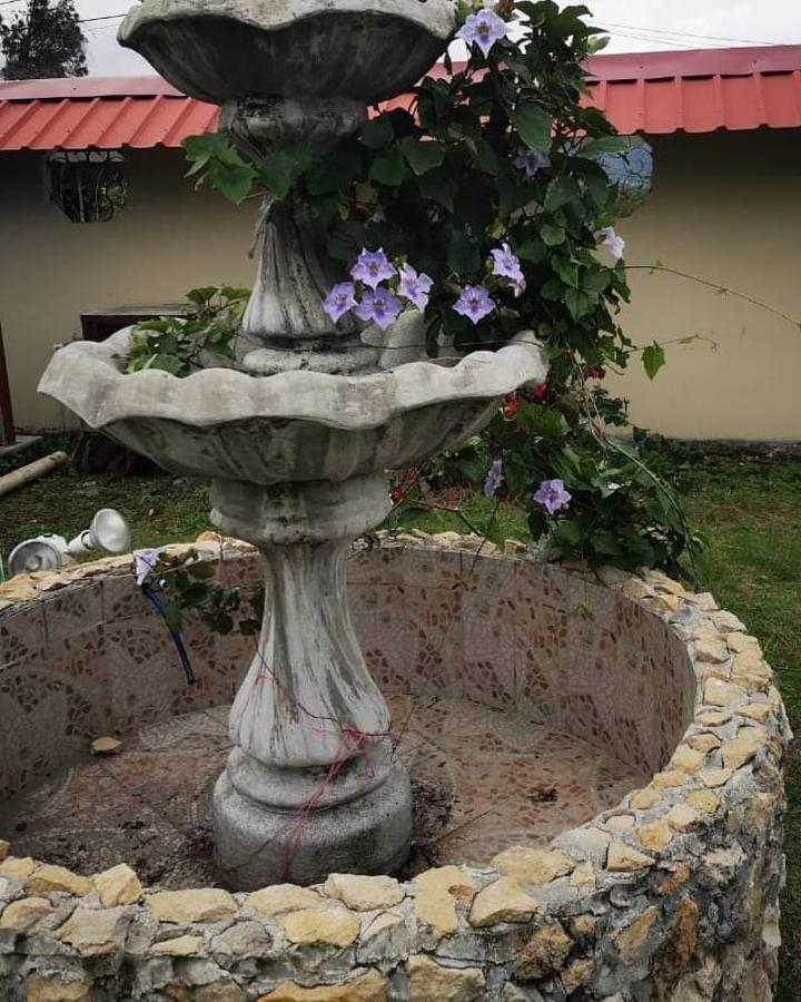 Cabanas Brisas Alto Boquete Eksteriør billede